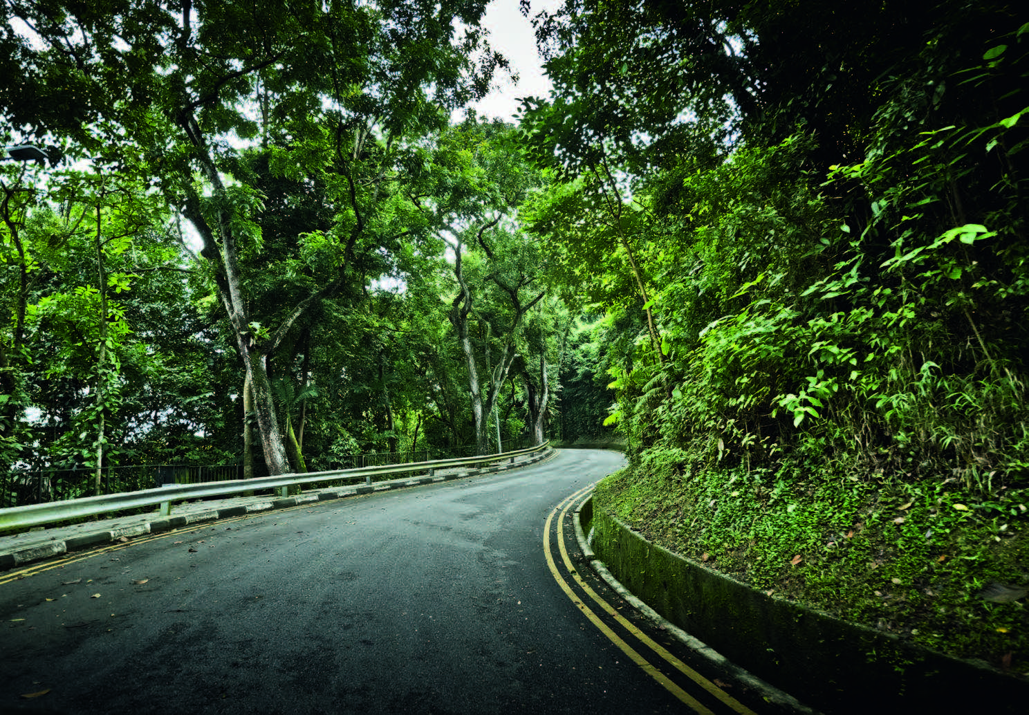 Curves Singapore